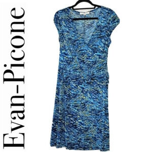 EVAN-PICONE DRESS 